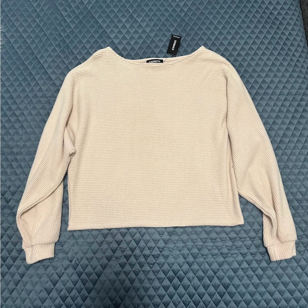 NWT Express cropped sweater